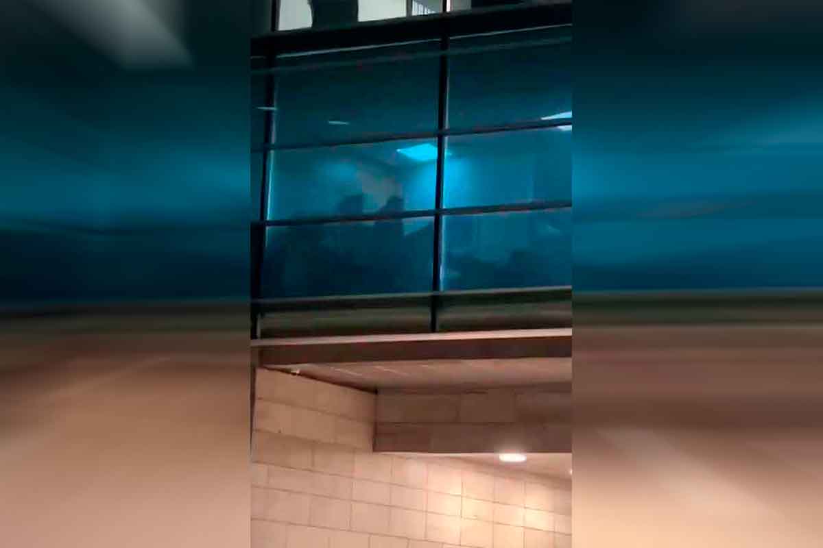 Habla autora del video en Municipalidad de Vitacura: “Fue todo muy mecánico y duraron 5 minutos”