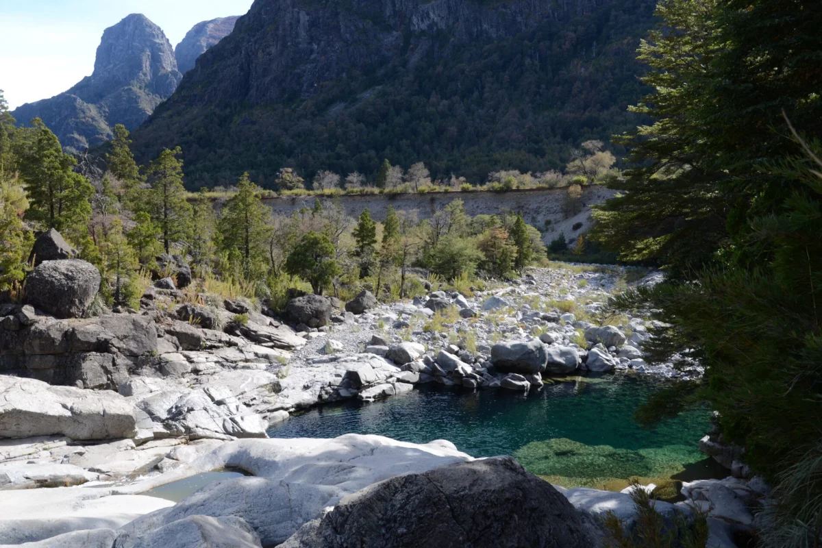 Cómo será el primer Parque Nacional de la región del Ñuble que contendrá 630 especies de flora
