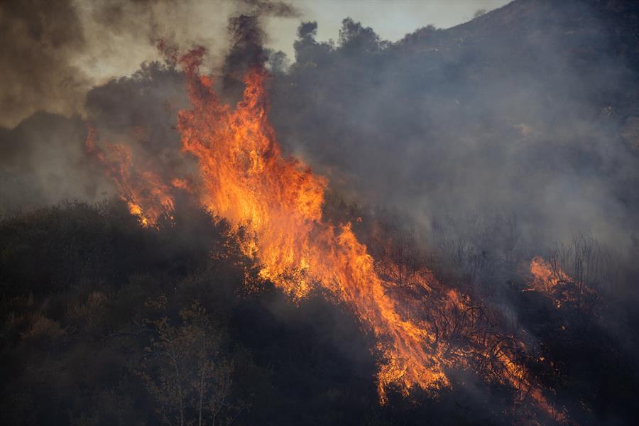 Violencia en USA: Dos bomberos mueren en Idaho tras tiroteo en medio de incendio forestal