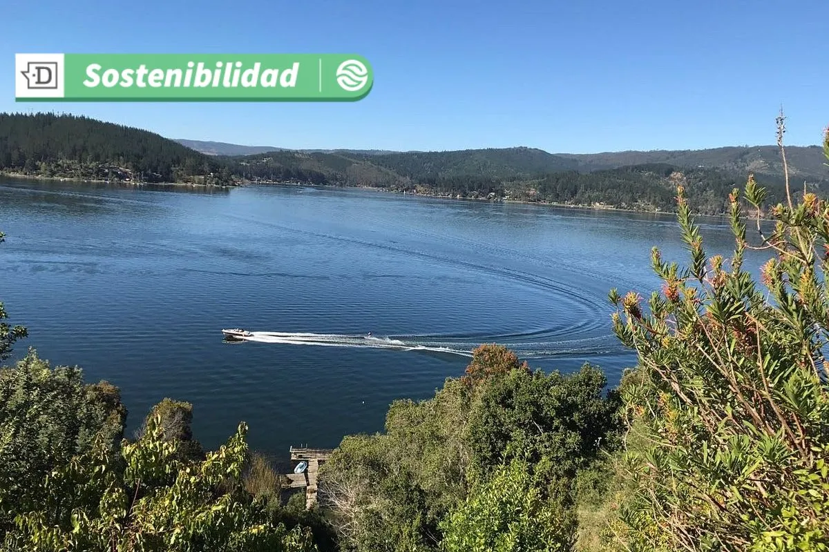Alexis Sánchez apuesta por el turismo de naturaleza: Vichuquén será el lugar donde “AlmaSoul” recibirá a sus visitantes