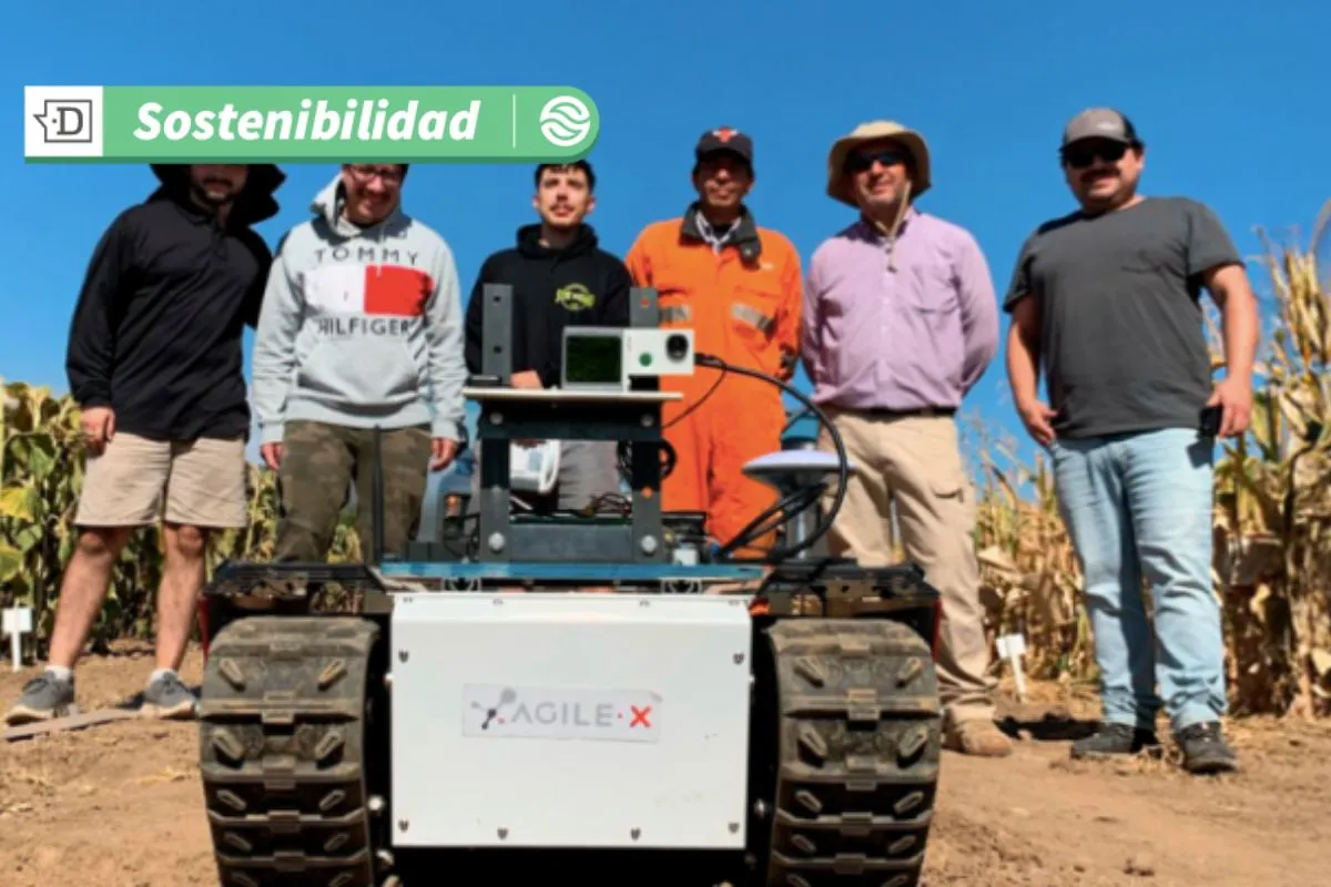 Desarrollan robot que soluciona problemas en la agricultura: La innovación remueve malezas sin necesidad de pesticidas