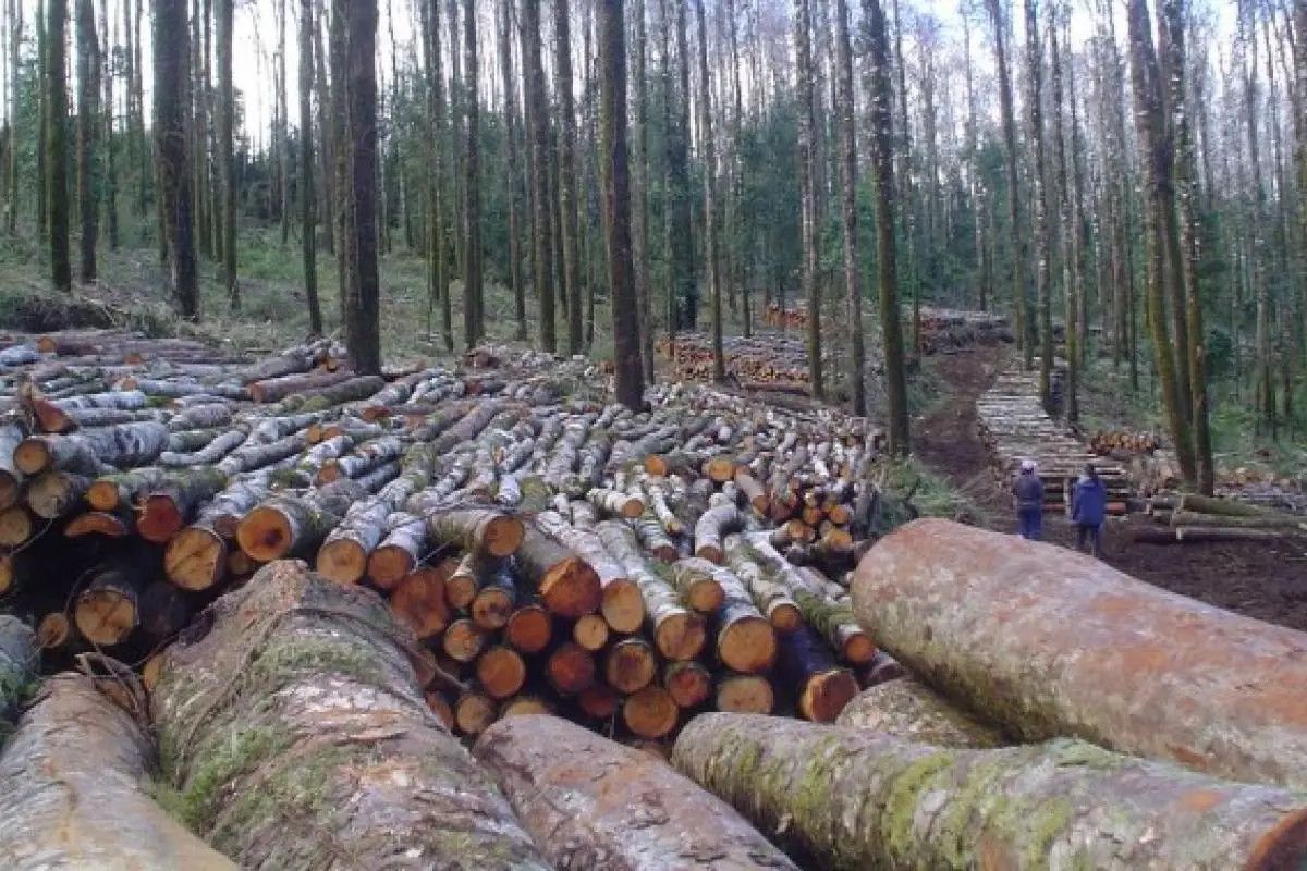 Proyectos de inversión con impacto ambiental.