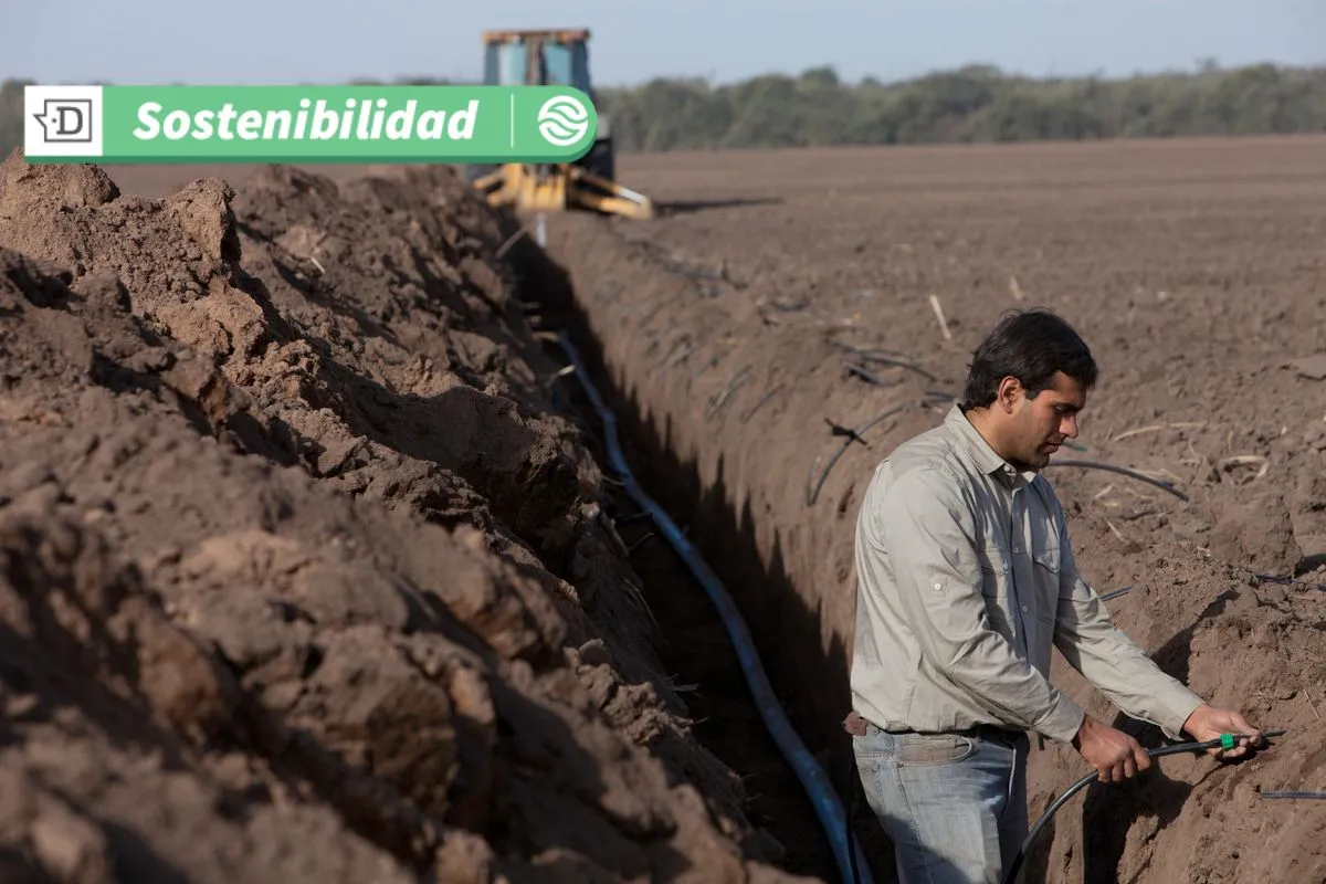 Atención agricultores: Lanzan recurso educativo para ayudar a escoger sistema de riego adecuado para cultivos en hileras