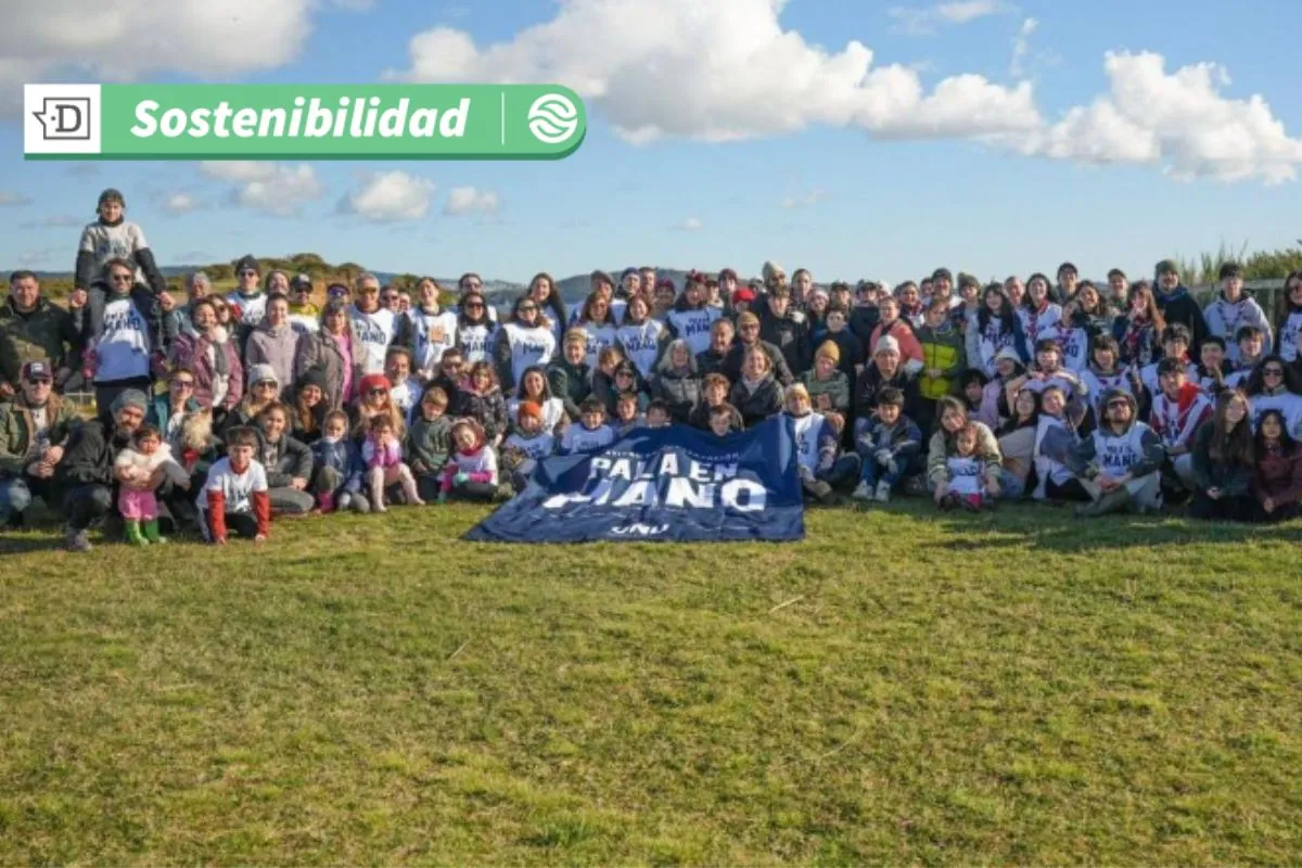 Plantan 4.000 árboles con el objetivo de reforestar el bosque nativo de Chiloé: Finaliza exitoso Festival Pala en Mano