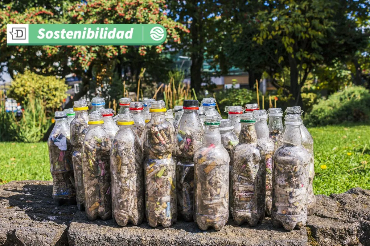 Voluntarios recogen 170.000 colillas de cigarro en 12 ciudades: Evitan contaminación de 85 millones de litros de agua