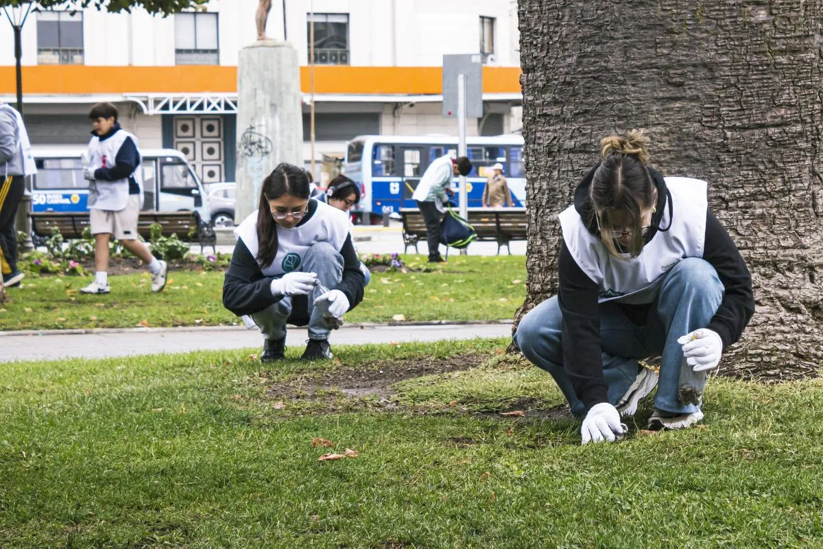 Las brigadas voluntarias fueron protagonistas de esta limpieza a gran escala.