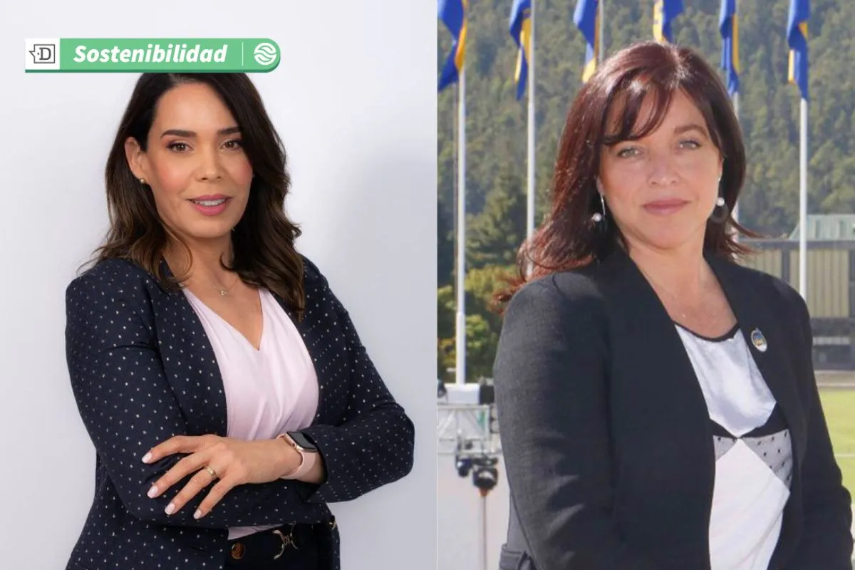 Orgullo nacional y energías limpias: Dos chilenas son incluidas entre las 50 líderes globales del hidrógeno verde 2025