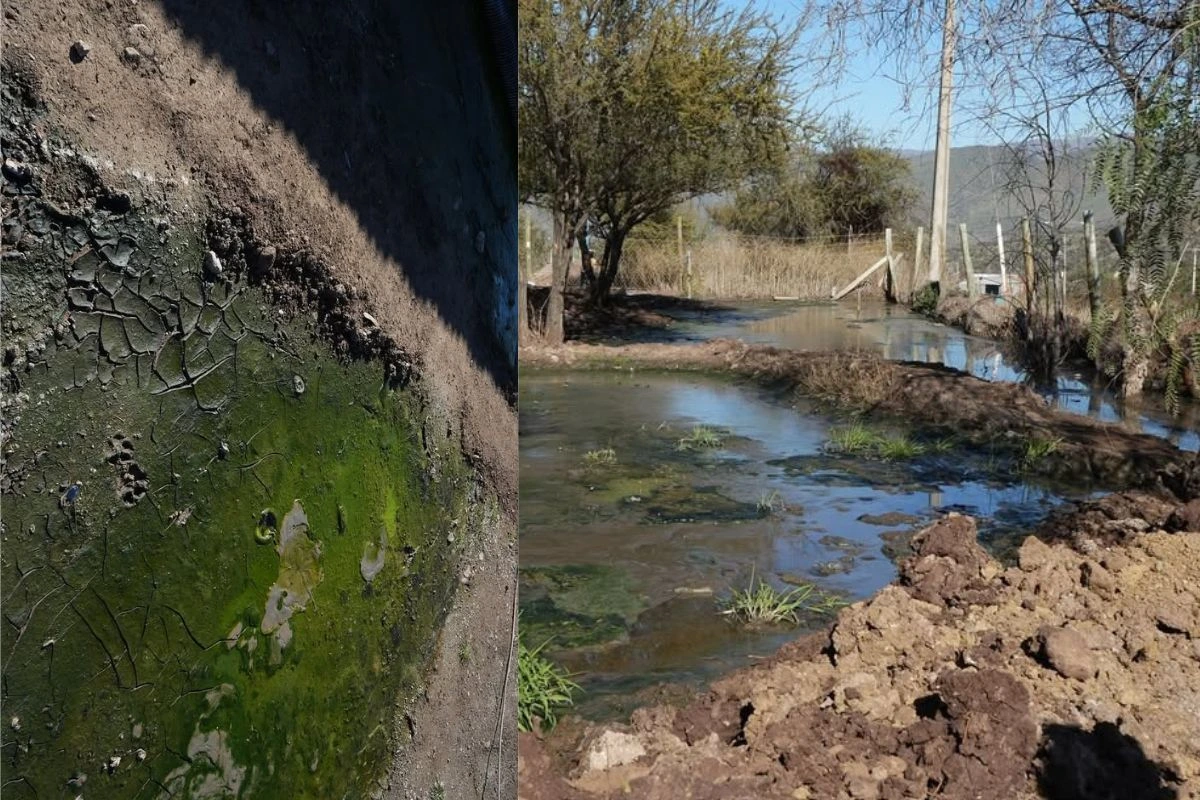 Líquido industrial corrió por las calles de Rungue en Tiltil: Vecinos denuncian olor insoportable constante