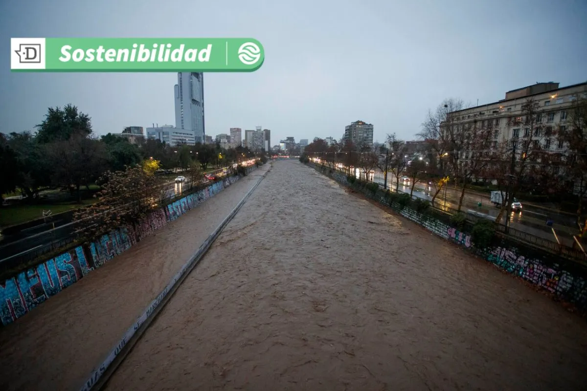 Proyecto por aguas más limpias: Esperan detectar pesticidas en riego agrícola mediante biosorbentes naturales