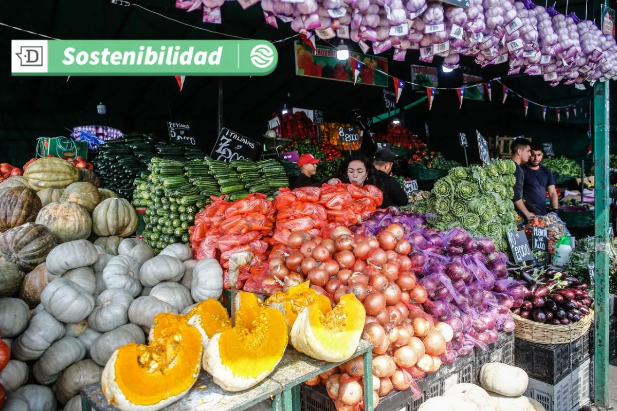 Mercado Mayorista Lo Valledor: Disminuye su consumo hídrico en un 58% y valoriza el 65% de sus residuos orgánicos