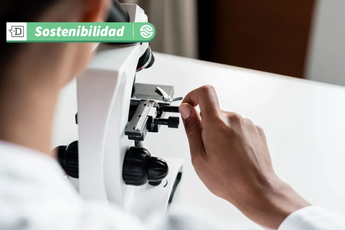 Ciencia e innovación: Científicos chilenos crean tecnología de biocontrol agrícola basada en bacterias nativas