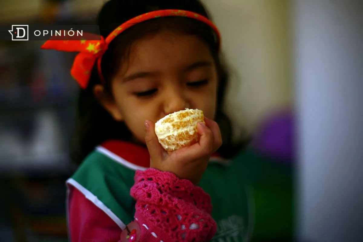 Repensar la obesidad desde la pertinencia cultural