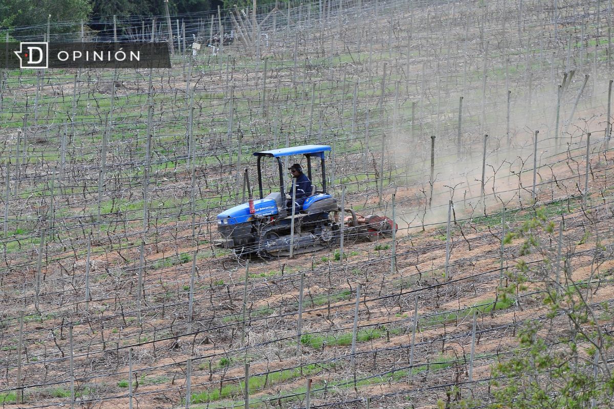 Cuando los campos se vacían: Despoblamiento rural en América Latina