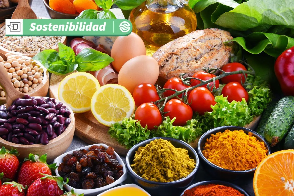 “Súper reciclaje de alimentos”: Proyecto público-privado pretende fomentar el Upcycling Alimentario en Chile