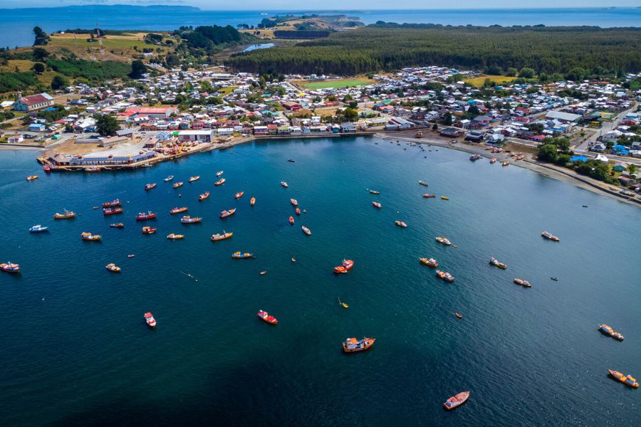 Nueva Ley de Pesca: Artesanales generan 5 veces más empleo que industriales por tonelada capturada