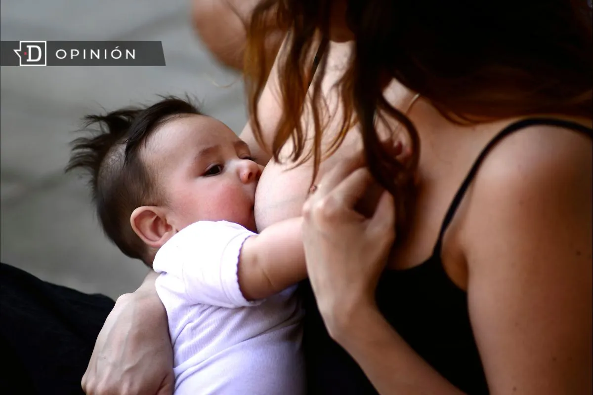Lactancia y desigualdad: ¿Quién acompaña a las madres en Chile?