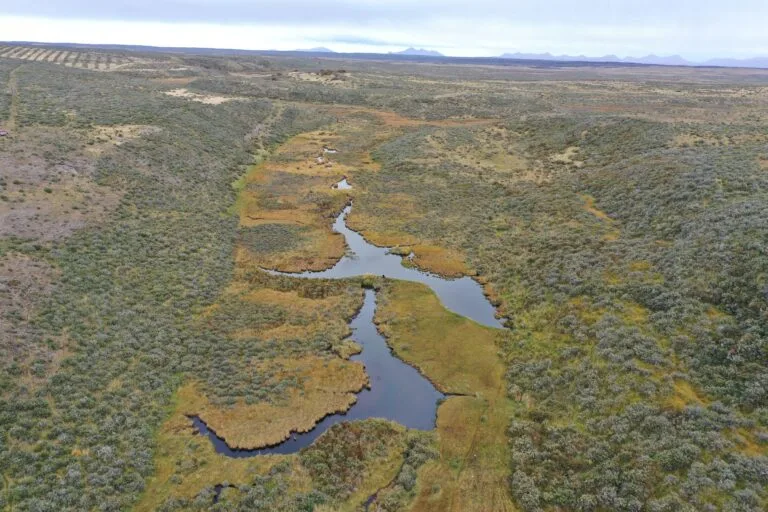 Diques formados por el castor desviando los cursos de agua en la Patagonia.