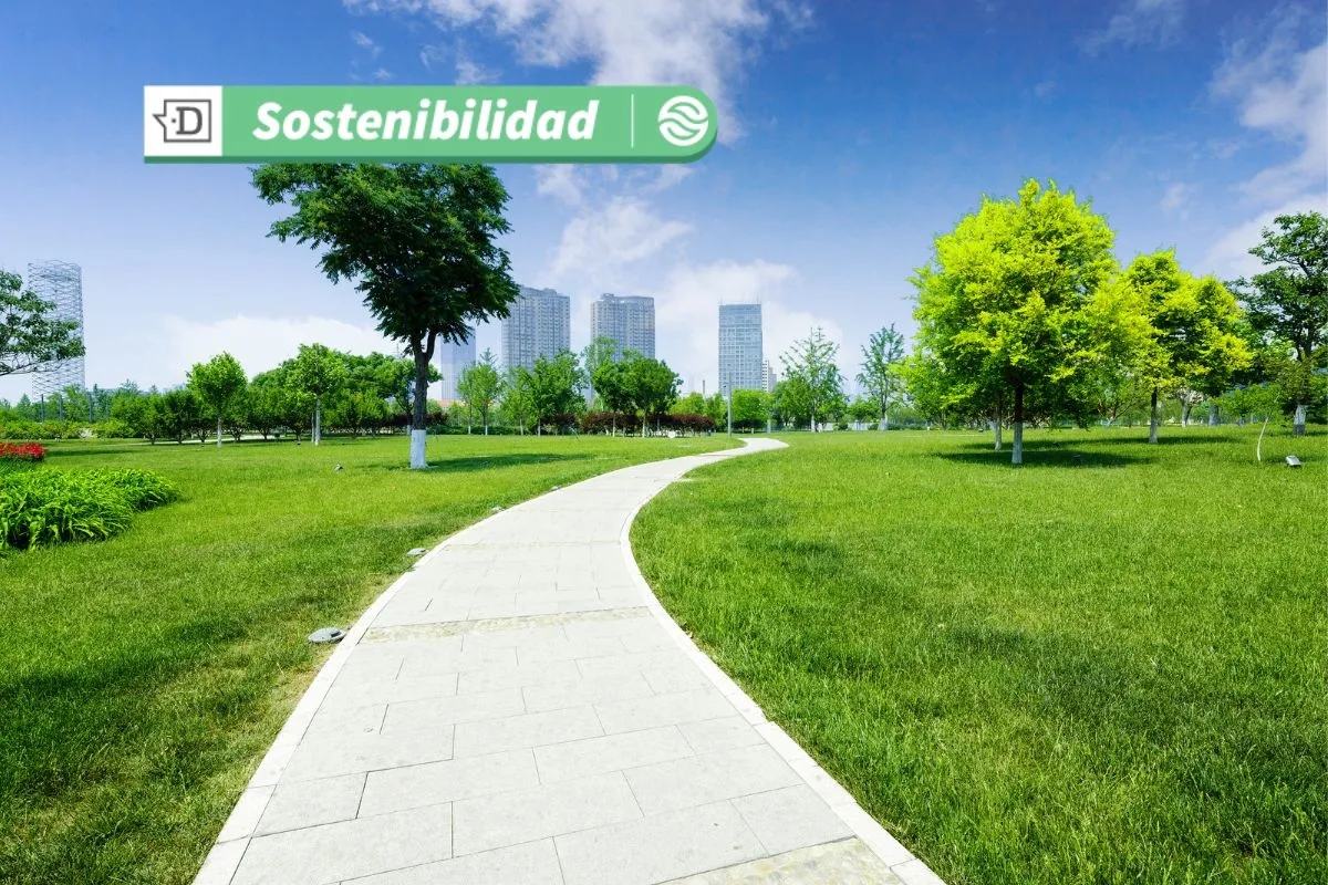 Participa: Consulta pública sobre Estrategia Nacional de Ciudades Verdes con Soluciones basadas en la Naturaleza