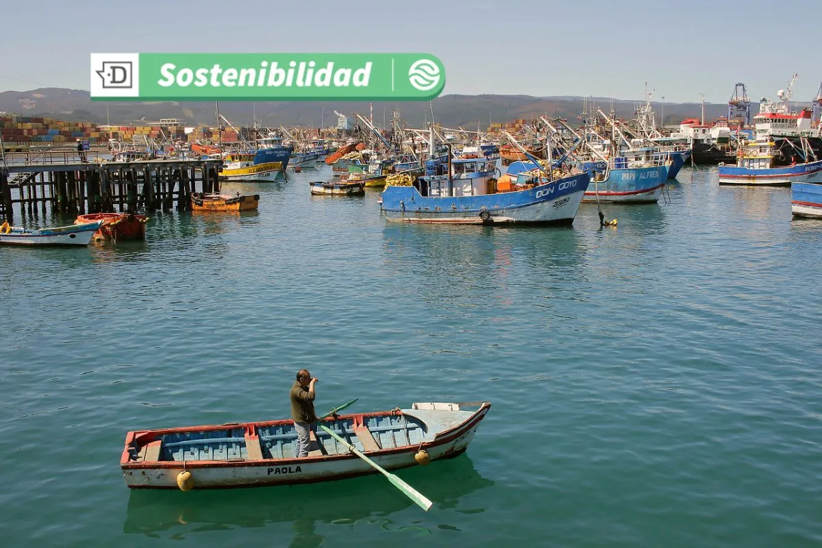 Primer taller de Caletas Sustentables: Municipios de Chañaral, Caldera, Copiapó, Huasco y Freirina serán beneficiados