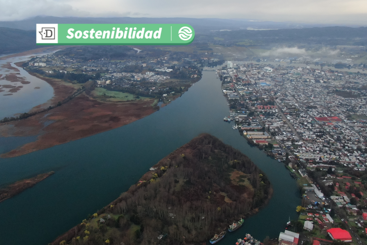 Valdivia celebra distinción a nivel mundial: Obtendrá acreditación oficial de “Ciudad Humedal” en COP 15 Ramsar
