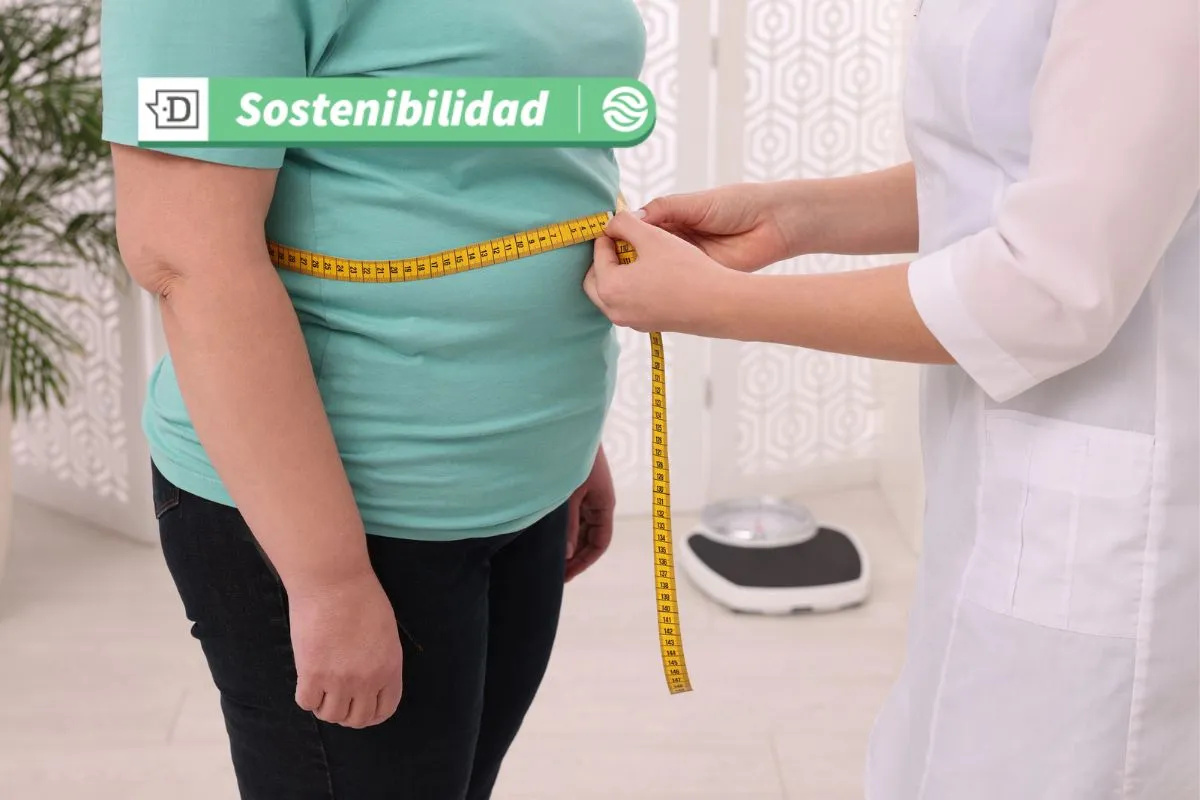 10 millones de pesos para los ganadores: Concurso busca soluciones tecnológicas y sociales para abordar la obesidad