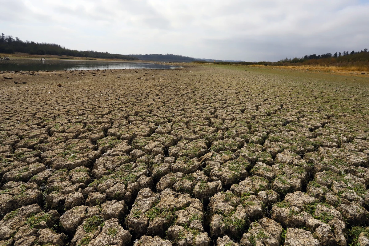 Día del sobregiro ecológico 2025: ¿Qué significa que la humanidad haya agotado los recursos naturales?