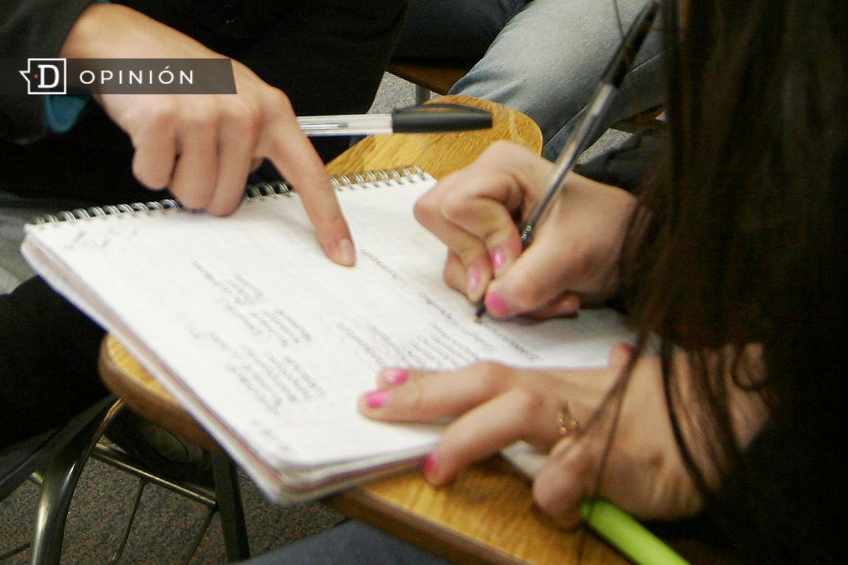 Consulta ciudadana por actualización curricular: Acercar la educación a los desafíos de hoy