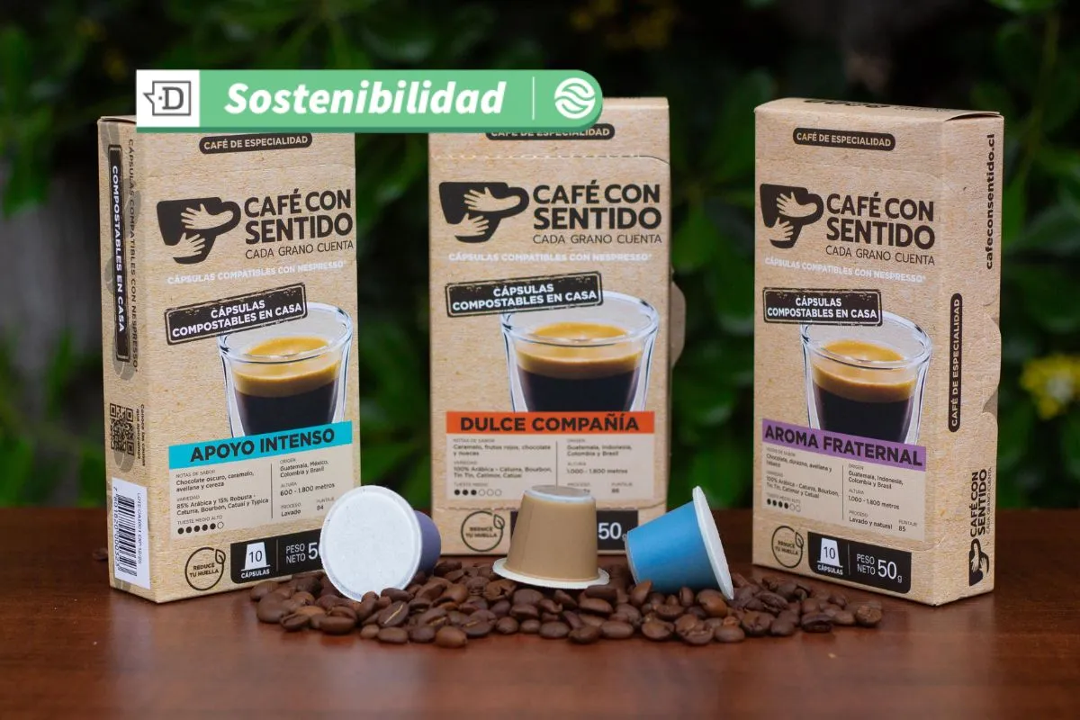 Conoce Café con Sentido: Un café de especialidad comprometido con diversas causas de impacto social y bienestar animal