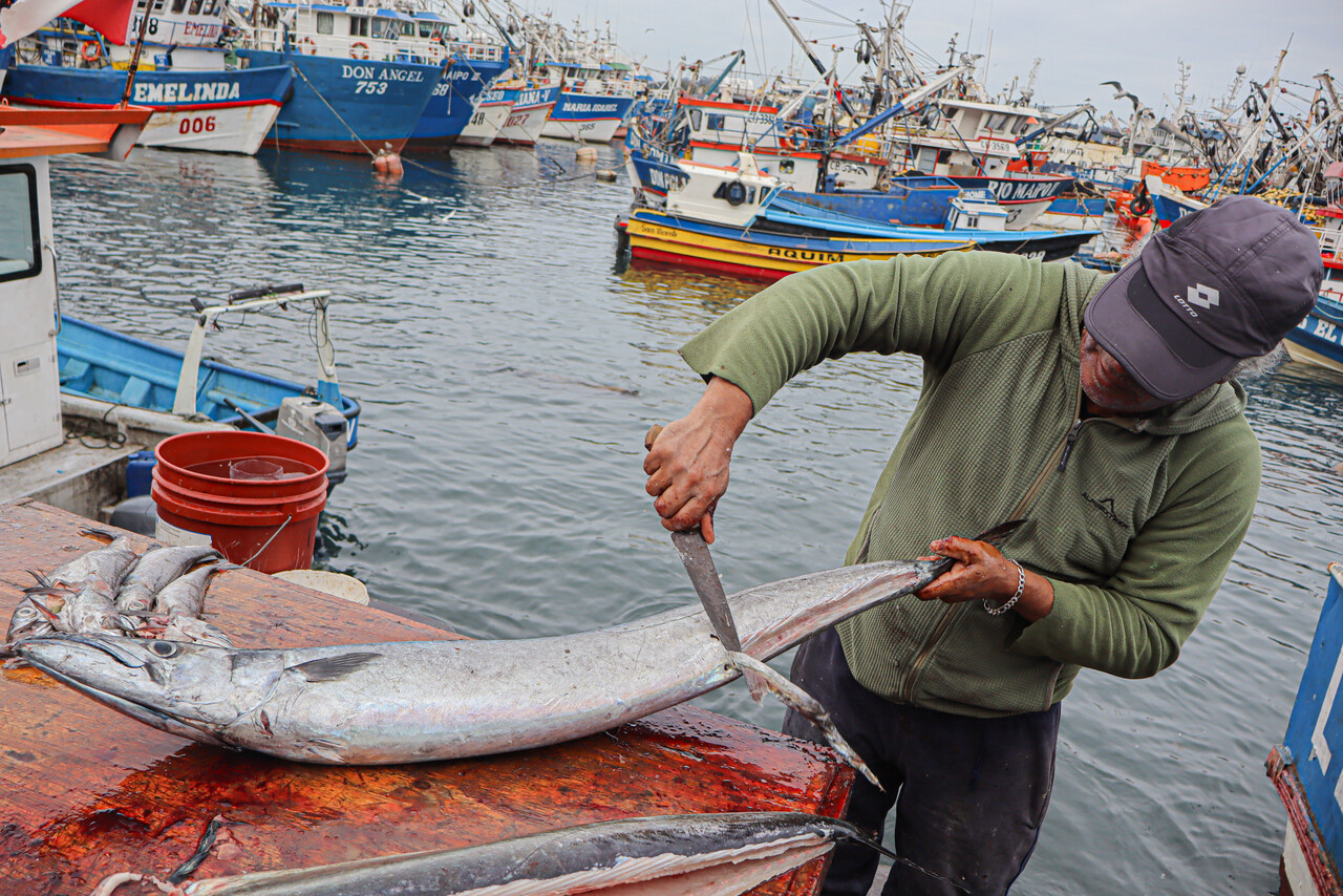 Pescadores artesanales piden al Congreso cambiar legislación marítima 