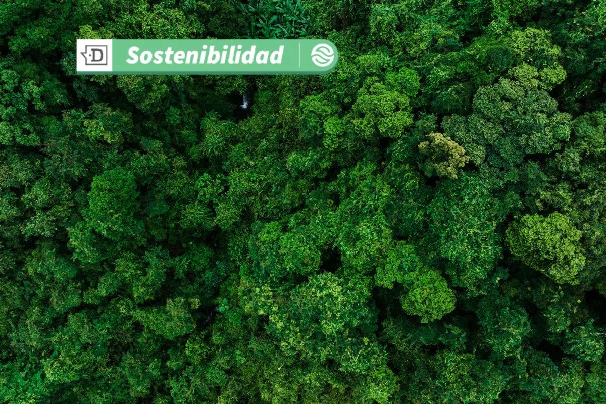 Hacienda actualiza Marco de Bonos Vinculados a la Sostenibilidad: Nuevo KPI ligado a la protección de Biodiversidad