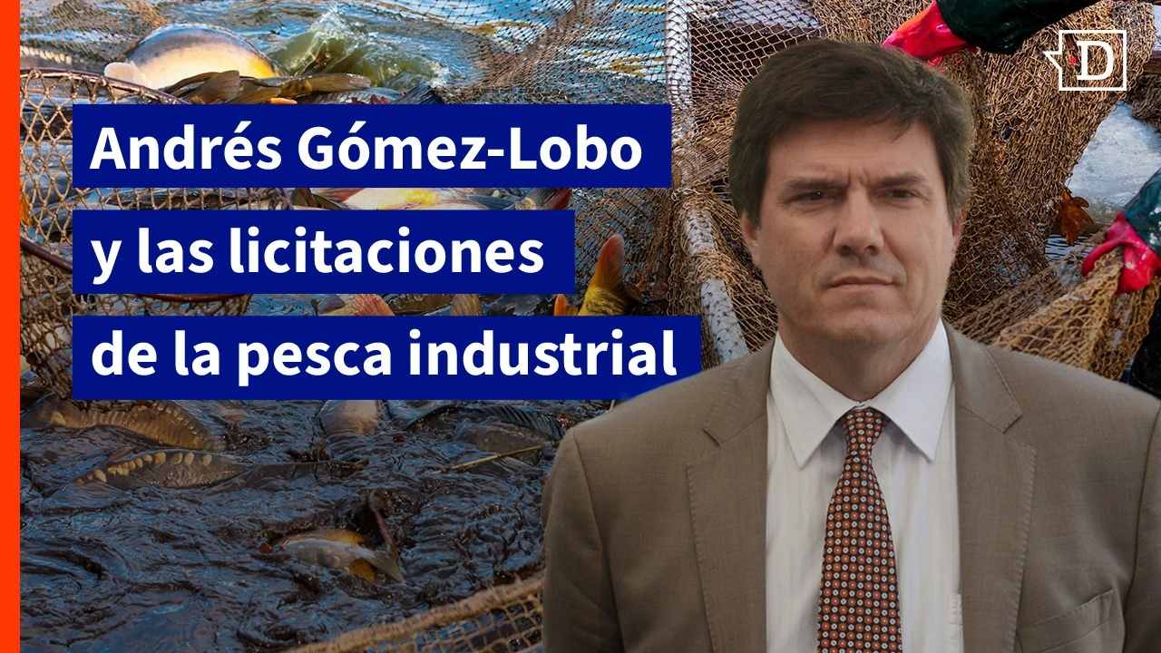 EN VIVO| Andrés Gómez-Lobo y las licitaciones de la pesca industrial