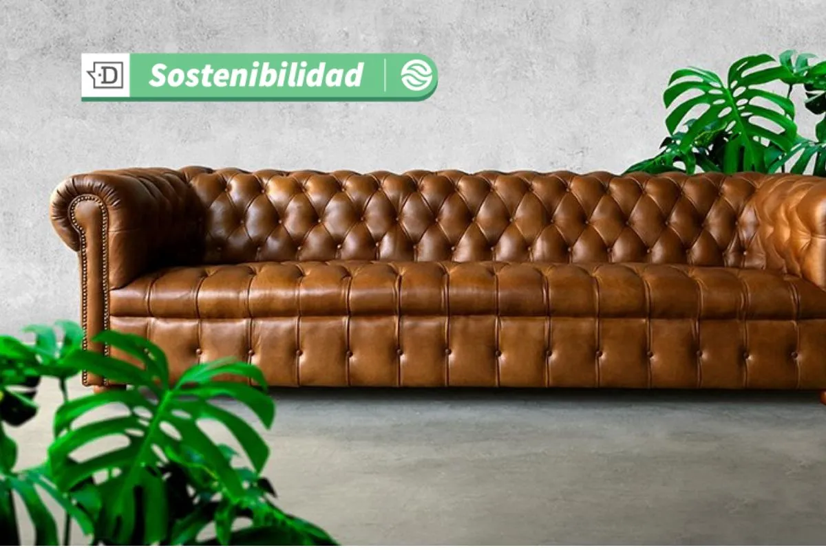 Diseño moderno y cueros sostenibles: Marca chilena celebra 30 años de tradición, calidad y legado familiar