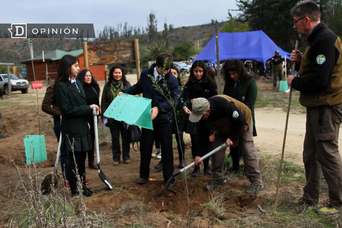 Más tierra, menos pantalla: Por una Ley de Educación Ambiental que devuelva la naturaleza a las Escuelas