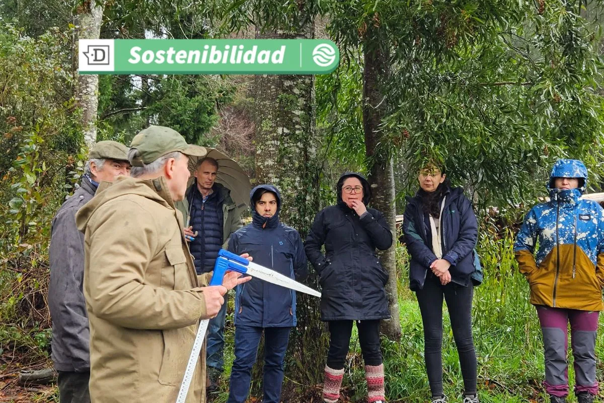 Cerca de 9.000 hectáreas: Constituyen comité negociador para avanzar en APL del bosque nativo en Los Ríos y La Araucanía