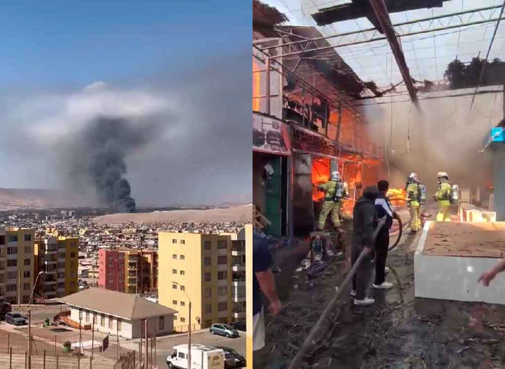 VIDEO| Emergencia en Arica: Incendio de grandes proporciones consume Terminal Agropecuario Asocapec