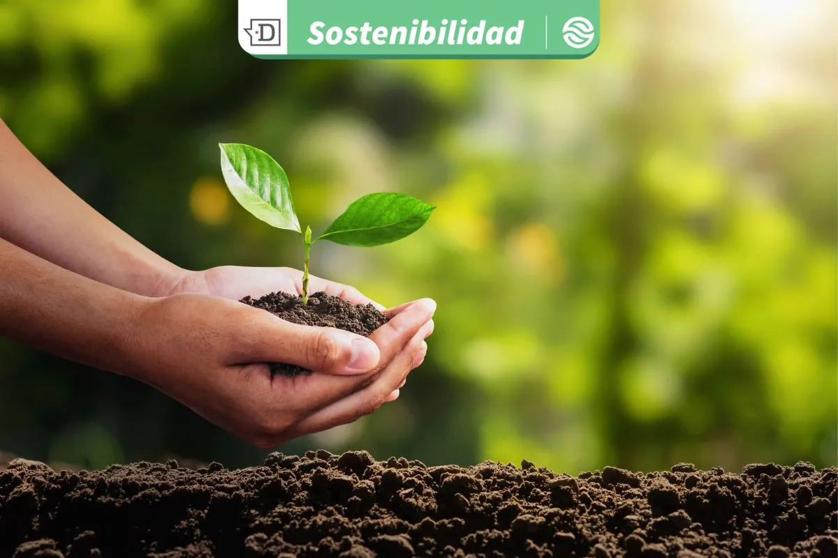 La economía de propósito ya mueve medio billón de dólares: ¿Gestionas e identificas en forma correcta las normas ESG?