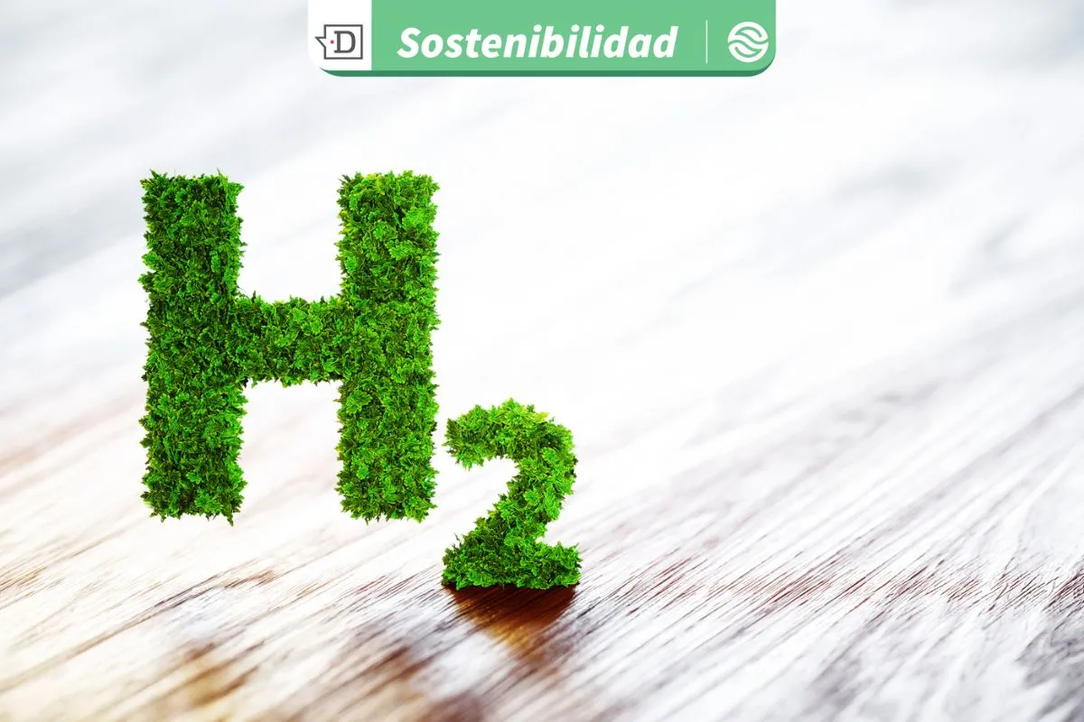 Desarrollo sostenible: Profesionales del Ministerio de Energía participaron en encuentro regional sobre hidrógeno verde