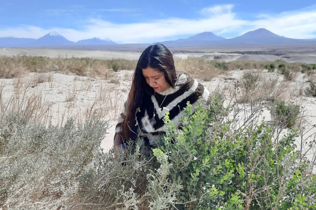 Patricia Pérez, emprendedora y yerbera indígena.