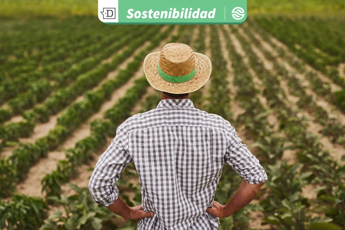Agricultura sustentable: Programa TT Green Foods dio a conocer tecnologías para el rubro durante Seminario PerfrutS