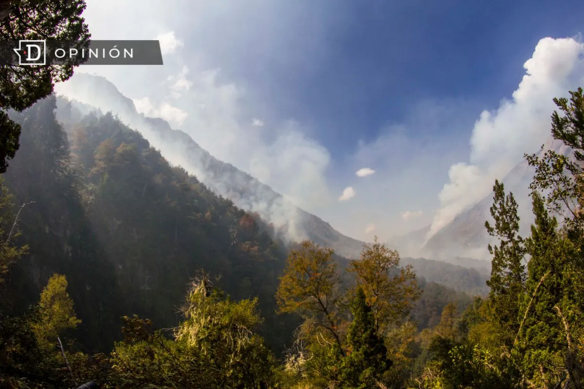 ¿Y si se pudiera industrializar el bosque nativo para producir objetos de alto valor y energía en forma simultánea?