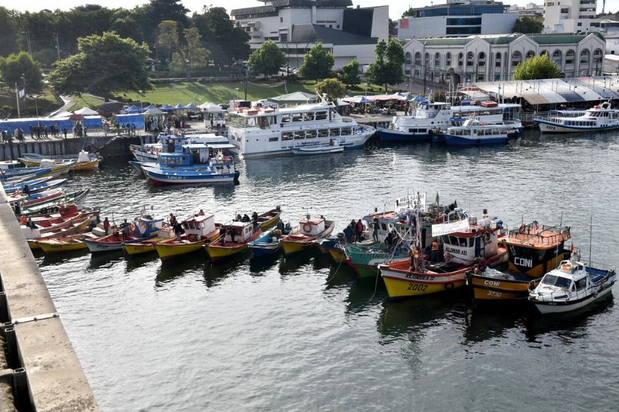 Regiones reineteras piden el 100% del recurso para artesanales y eliminar pesca de arrastre