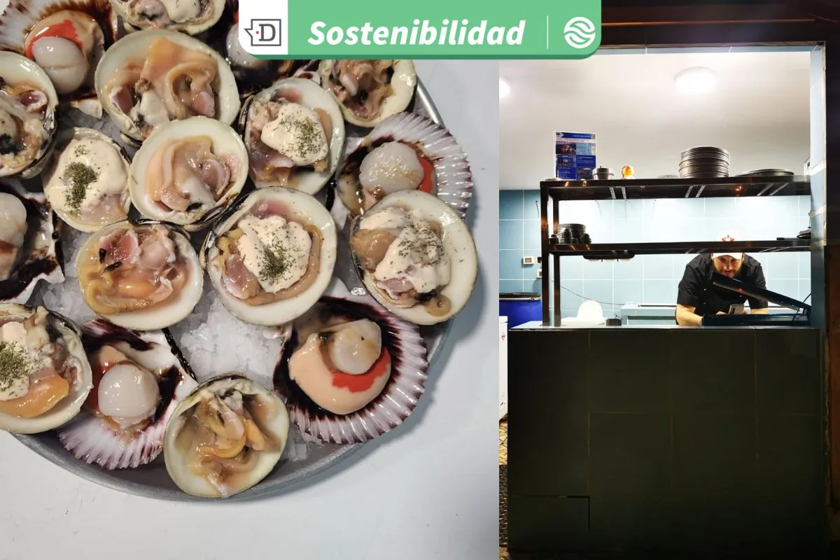 Chochas, jibia y piure: Restaurante chileno dejó de usar salmón y apuesta por mariscos y pescados locales y artesanales