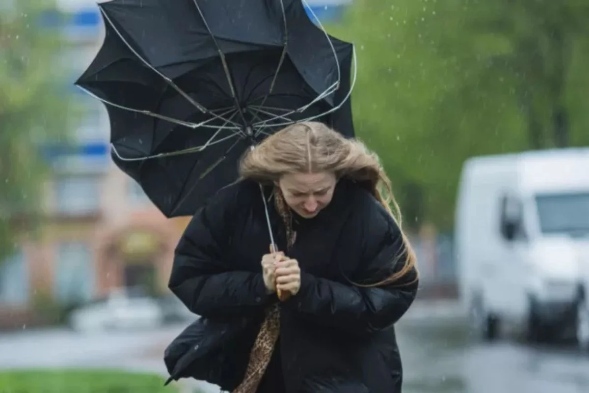 DMC anuncia Alerta Meteorológica por rachas de viento de hasta 110 km/h para este domingo: Revisa las regiones