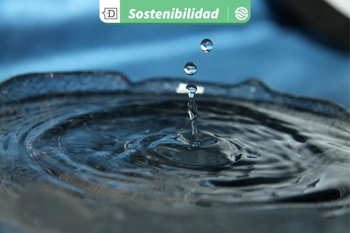 Expo Agua 2025: Vínculos público-privados son clave para abordar la crisis del recurso hídrico con soluciones concretas
