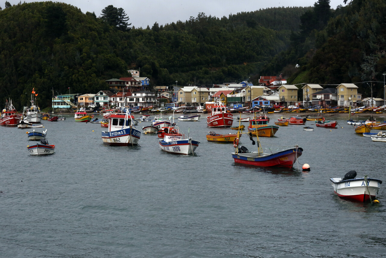 Dirigentes de la pesca artesanal responden acción judicial de Alimar: “Sus padrinos ya no están en el gobierno”