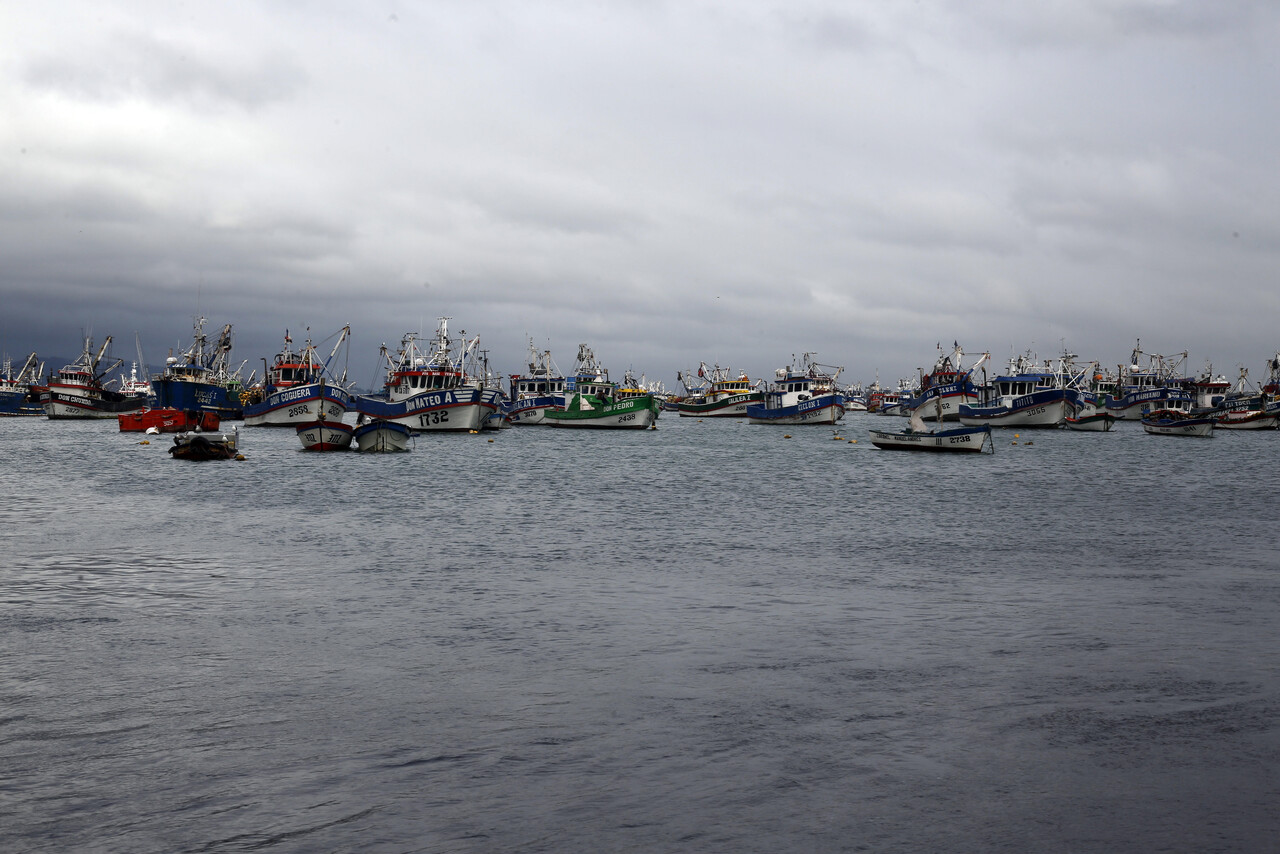 Condepp denuncia campaña de la industria pesquera para desacreditar el Fraccionamiento y bloquear nueva Ley de Pesca