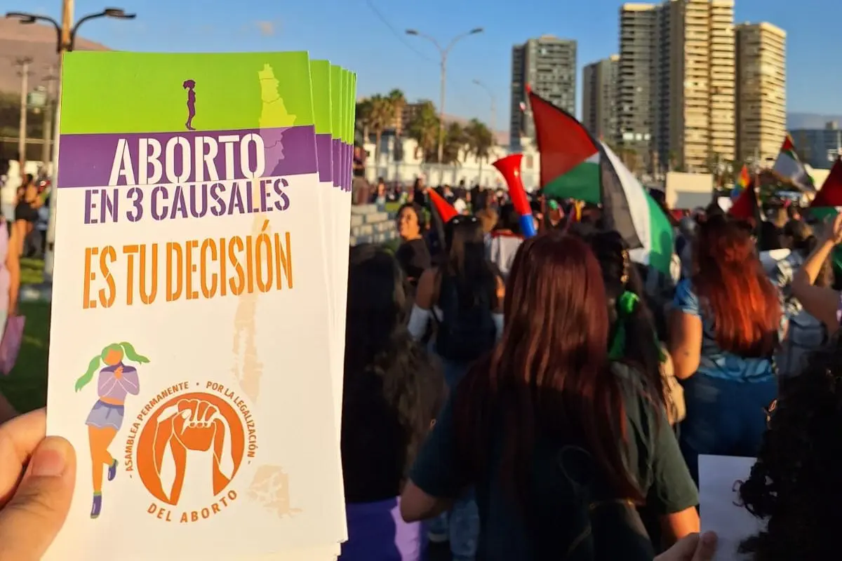 Educación sexual integral en Chile: Experta advierte vacíos legales y pide formar profesores para enseñar sobre aborto