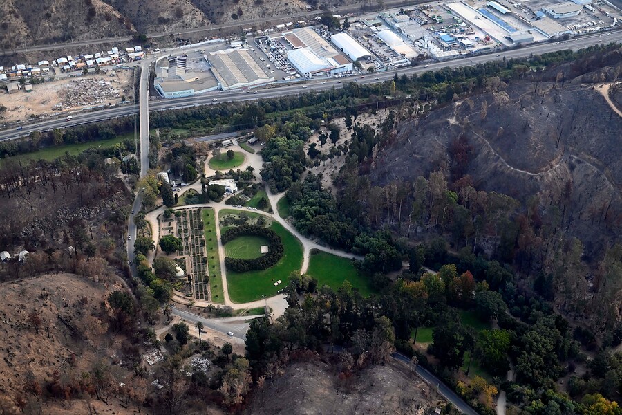 Organismos microscópicos sanarán el suelo quemado del jardín botánico de Viña del Mar