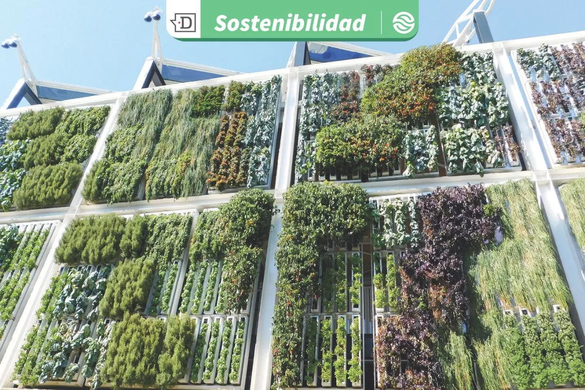 Techos verdes y jardines verticales en Córdoba: Una posible solución para comenzar a aplicar en espacios urbanos