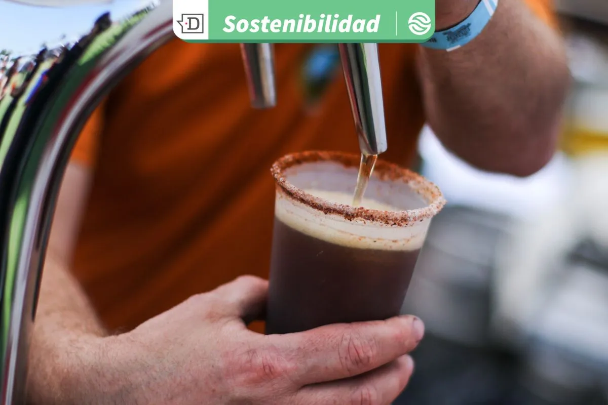 Actividades en Puerto Montt: Llega la primera versión del encuentro “CerveCiencia”, Conocimiento, Cerveza y Ciencia